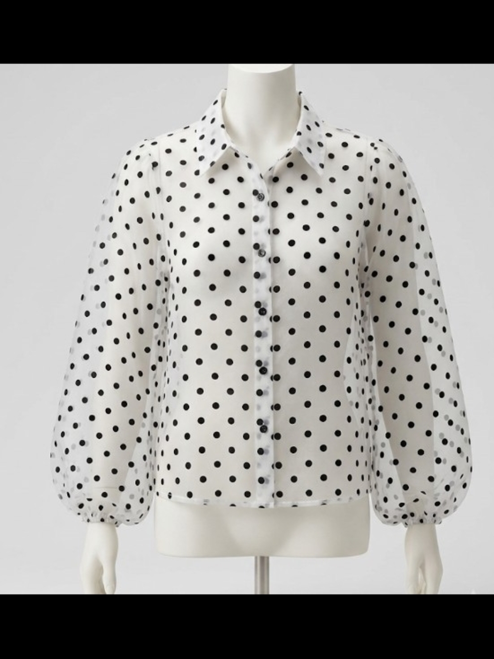 Kaktus White and Black Polka Dot Sheer Button-Down Blouse (Sz M) Bell Sleeves